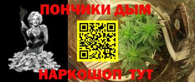 PSILOCYBIN Новодвинск