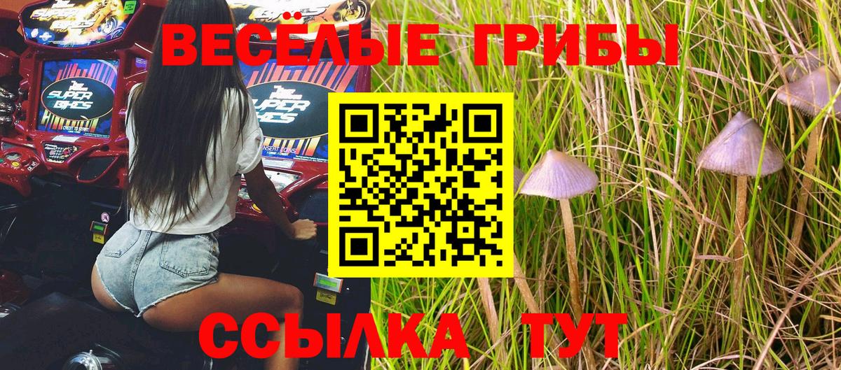 Пушкино  Галлюциногенные грибы прущие грибы  Псилоцибиновые грибы Magic Shrooms  купить наркоту  Вход с VPN 