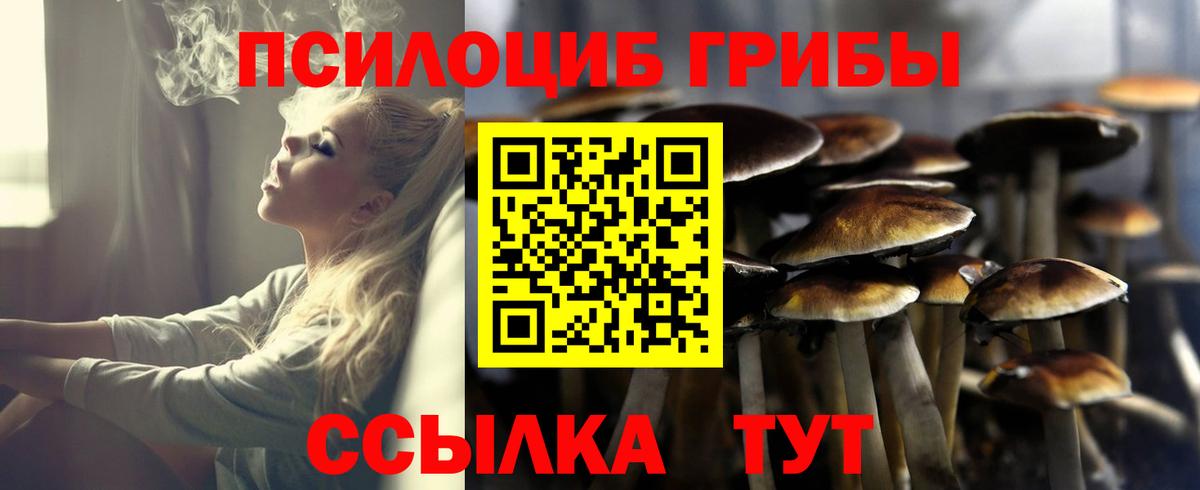 Галлюциногенные грибы мицелий Пушкино